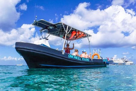 Snorkel In Cozumel! Boat Tour & Snorkel at 3 different Reefs 