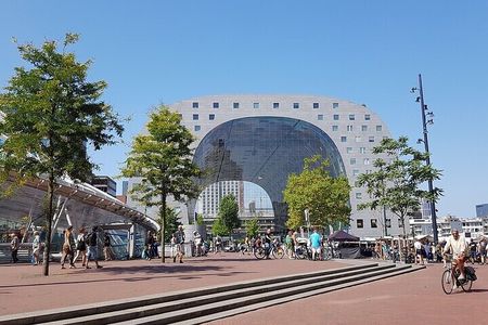 Rotterdam Architectural Walking Tour With A Guide (Private Tour)