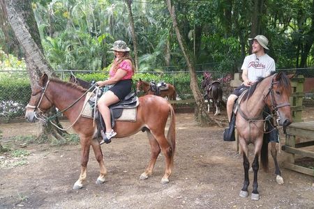 Horseback Riding and Snorkeling at West Bay Beach Private Tour