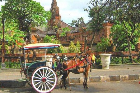 Discover Bali : Shore Excursion from Benoa Port with Free Wi-Fi