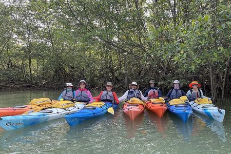 Uvita: Marino Ballena National Park Mangroves - Sea Kayaking 