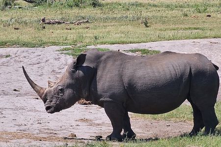 2 Nights & 3 Day Kruger National Park Safari & Panorama Route 