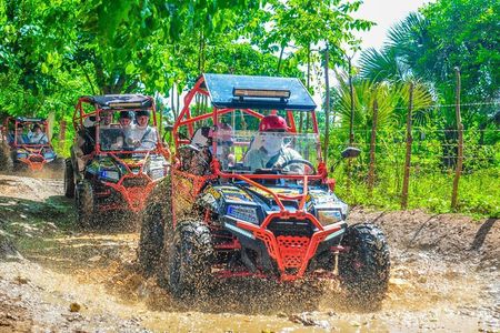 Punta Cana Vip Buggy: Cave, Macao Beach, Free Pick-Up
