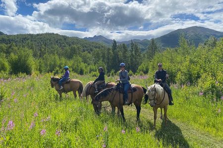  Zipline & Horseback Adventure in Alaskan Mountains