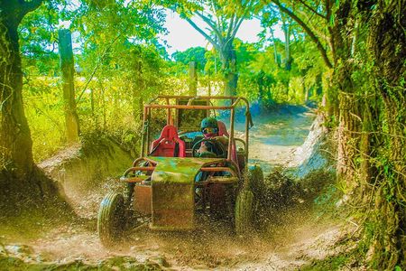 Punta Cana 4 Hours Buggy Tour Cave Macao Beach Free Pick Up