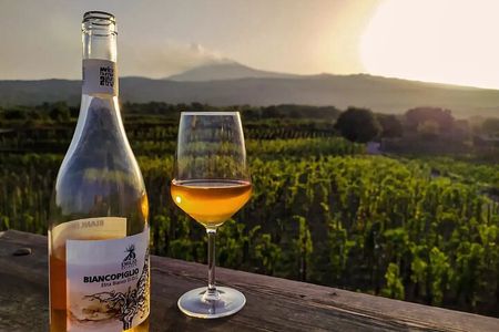 Etna excursion and wine tasting with Sicilian lunch