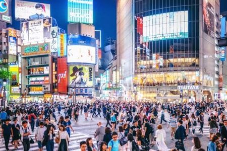 Tokyo Private Tour by Car with English speaking driver