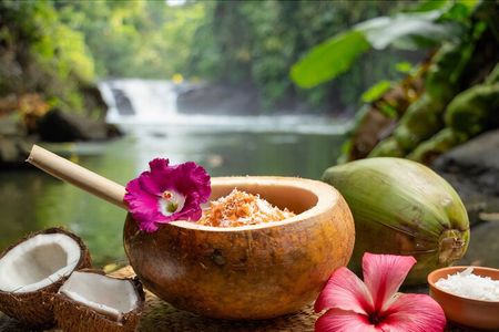 SPA day surrounded by nature, well-being rituals