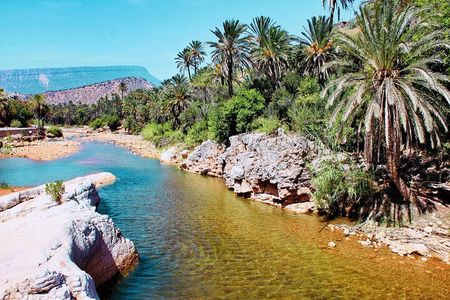 Paradise Valley & The Old Taghazout village Private Tour