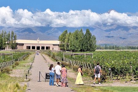 Uco Valley Wineries Day with Private Driver