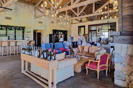 Uco Valley Wineries Day with Private Driver