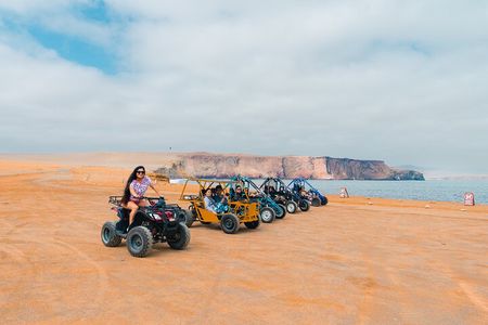 Tour the Paracas National Reserve in a MiniBuggy