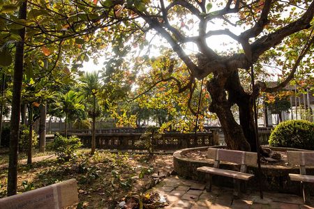 Hai Phong Highlights: Cultural & Historical Walking Tour