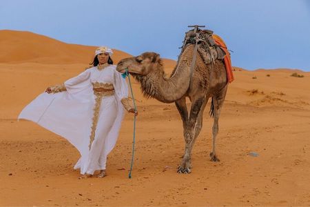 2 Nights in Luxury Camp and Camel Trekking in Merzouga Desert 