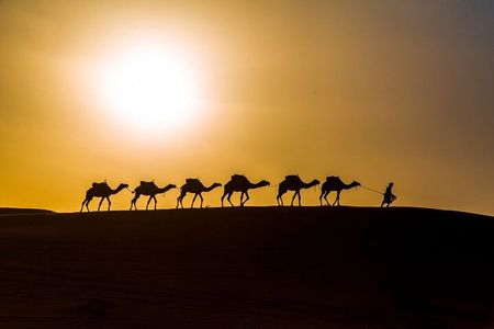 2 Nights in Luxury Camp and Camel Trekking in Merzouga Desert 