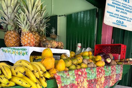 Private Montego Bay Customized Tour with Pickup and Guide