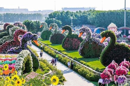 Miracle Garden In Dubai tickets with pickup drop option 