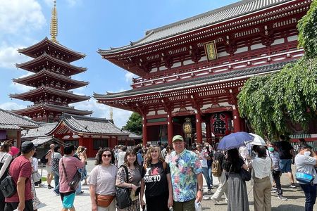 Tokyo Highlights in 2 Hours: Customizable Private Walking Tour
