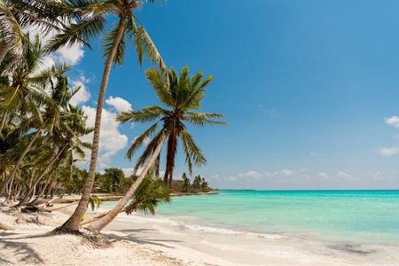 Saona full day with Food and drinks