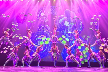 Beijing Evening Tour: Chaoyang Theatre Acrobatic Show (Transfer)