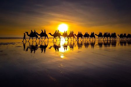 Sunset Camel Ride on Achakkar Beach