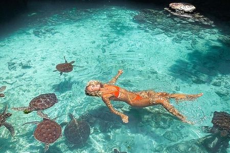 Salaam Aquarium Mtende Beach The Rock Restaurant Kae funk Sunset