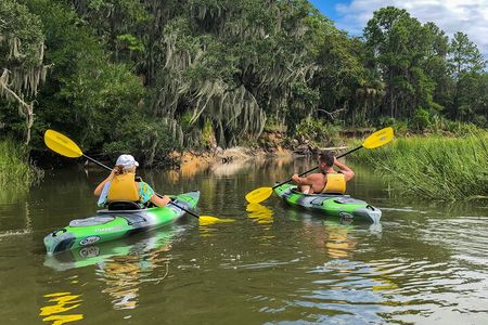 Hilton Head Outback Boat and Kayak Adventure