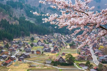 1 Day Private Charter Tour to Takayama & Shirakawago