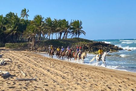 Horseback Riding Adventure Punta Cana