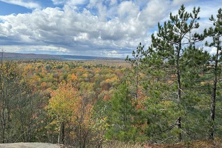 Algonquin Provincial Park Full Day Trip