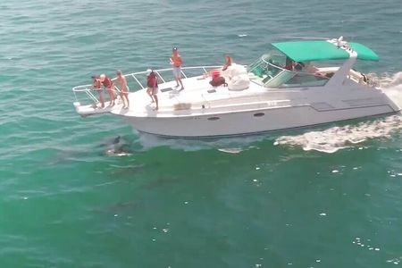 Long Beach: 2 hour yacht sea life trip (1 ticket covers 1-6 ppl)