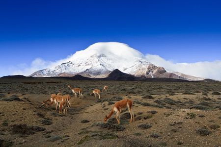 7 Day Private Tour of the Best Places in the Andes and the Amazon