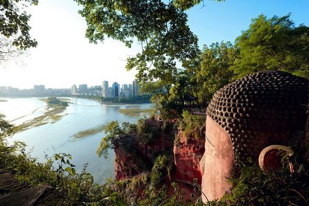 One Day Trip to Chengdu Panda Base and Leshan Buddha Tour