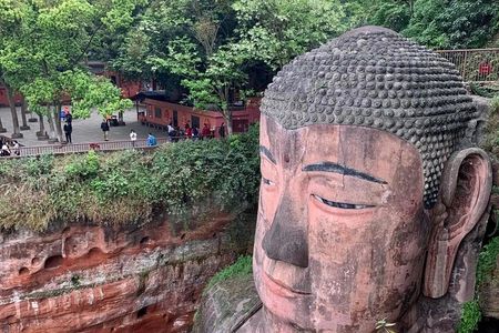 One Day Trip to Chengdu Panda Base and Leshan Buddha Tour