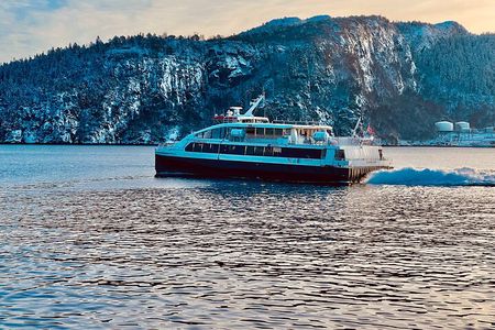Discover Bergen on Foot and Boat