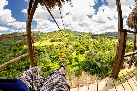 Punta Cana Monkeyland and Zipline Two Adventures in One Day