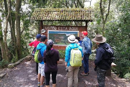 Explore Biodiversity in the Chicaque Cloud Forest Nature Reserve