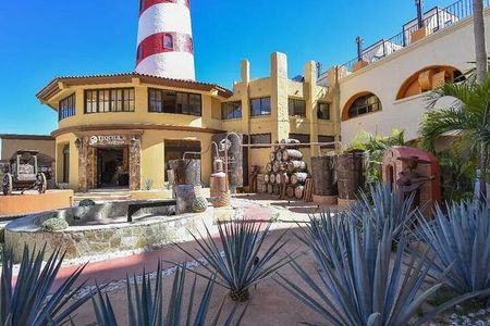 CityTour to San Jose, Cabo San Lucas and Arch Tour in Clearboat