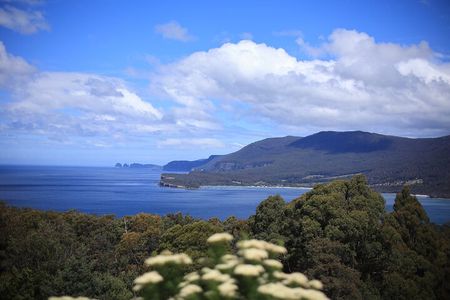 Tasman Peninsula Small-Group Eco Tour from Hobart