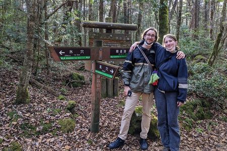 Mt. Fuji Aokigahara Jukai Forest Private Tour with Licensed Guide