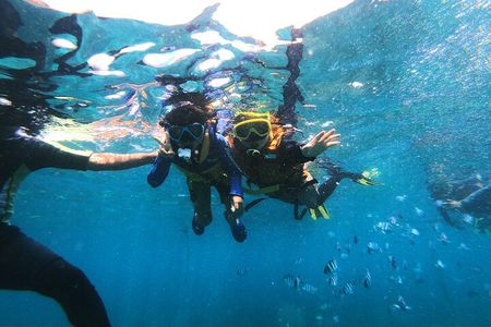 Bali Tropical Snorkeling and Mangrove Cruise