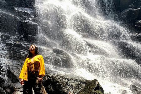 Full Day Private Tour All Inclusive Hidden Gems Bali Waterfall 