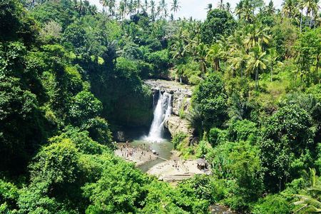 Full Day Private Tour to Ubud Waterfall and Tanah Lot Sunset