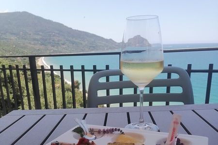 Oil-tasting experience in the area of Cefalu