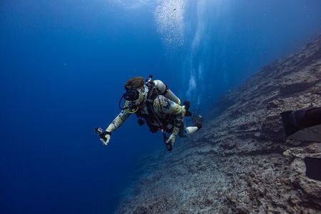 2-Tank Dive Featuring the Molokini Crater