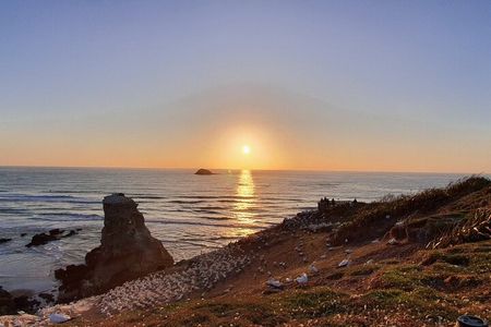 Romantic Auckland Sunset tour with Winery & Thermal pool