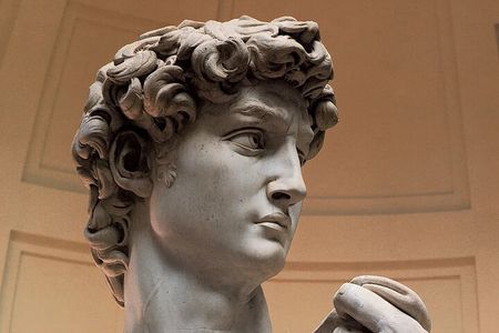 Skip The Line David Guided Tour Experience