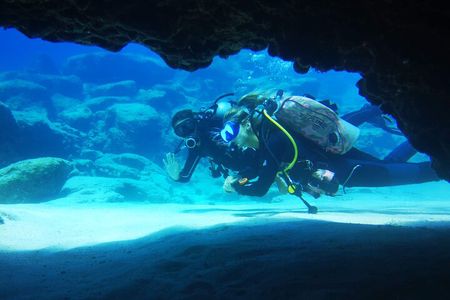 Local Guided Dives (for certified/licensed divers)
