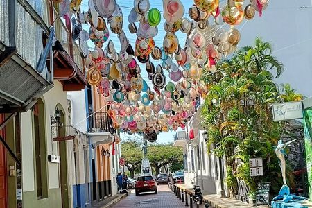 Panama sightseeing tour and Canal visit