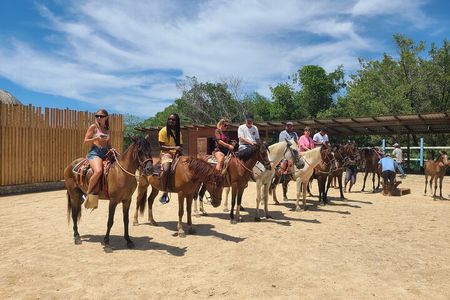 Roatan Tour with Horseback Ride Sloth Park and Glass Bottom Boat